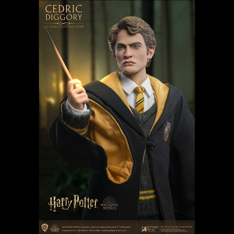 Cedric diggory hot sale figure